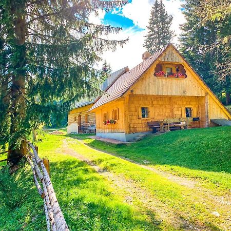 Villa Chalet Ivi Zgornje Gorje Exterior foto